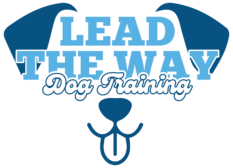 Lead The Way